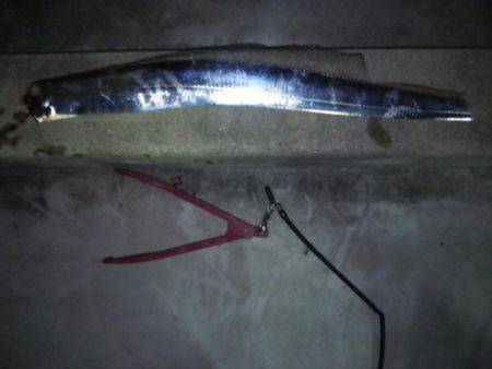 タチウオ何とか１つ